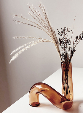 Homeside异形玻璃花瓶北欧ins弯曲造型透明艺术烛台摆件水培花器