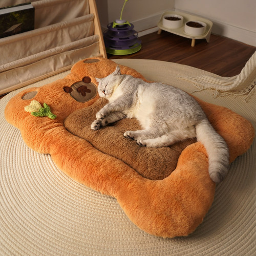 新品尝鲜小熊猫猫垫冬天保暖