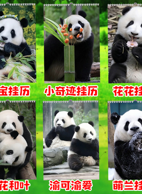 大熊猫2026年挂历福宝花花渝可渝爱小奇迹康康台历日历摆件挂画