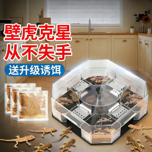 壁虎盒驱赶抓捕家用客厅卧室防壁虎四脚虫捕虫盒驱虫驱壁虎捕虫屋