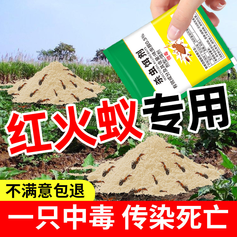 灭红火蚁药饵剂全窝非无毒端室内户外菜地家用杀除蚁药蚂蚁专用粉