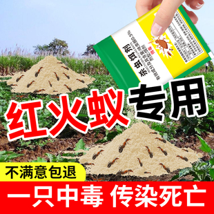 灭红火蚁药饵剂全窝非无毒端室内户外菜地家用杀除蚁药蚂蚁专用粉
