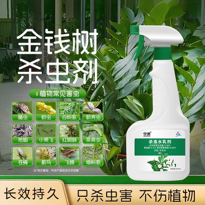 金钱树杀虫剂除灭虫长虫非专用打虫药虫子驱虫用药生木虫介壳金钱