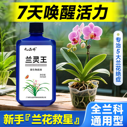 兰灵王兰花专用营养液肥料君子兰微生物菌剂多箭素爆芽素蝴蝶兰陵