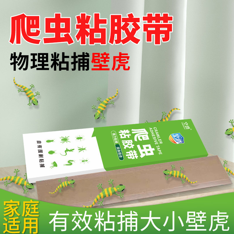 壁虎粘捕驱赶药家用器潮湿安置防害虫壁虎器墙壁壁虎室内强力板