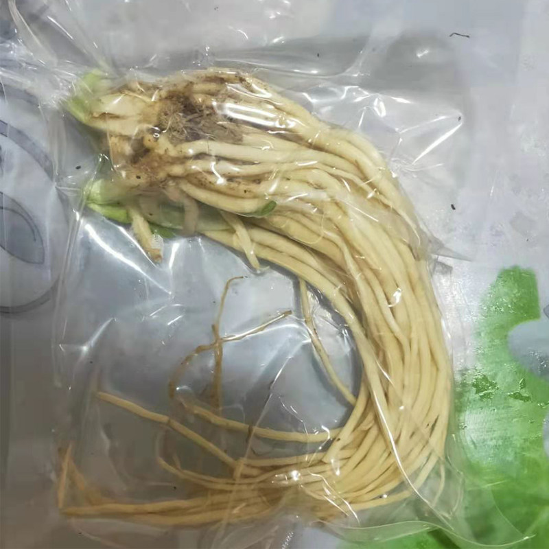 丽江特产新鲜韭菜真空包装排骨
