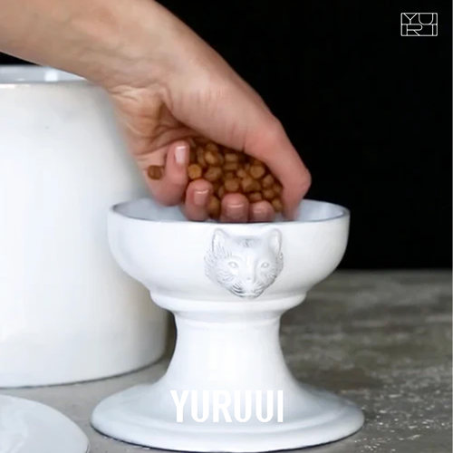 [YURUUI设计师]法国Carron Paris黑陶手作宠物碗宠物盆猫猫碗