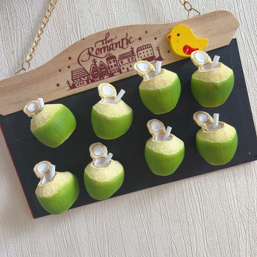 泰国手工树脂冰箱贴水果椰子