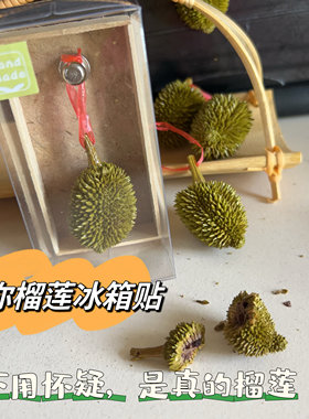 泰国迷你真水果榴莲冰箱贴