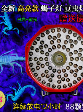 宝利莱蝎子头灯锂电池充电紫光灯