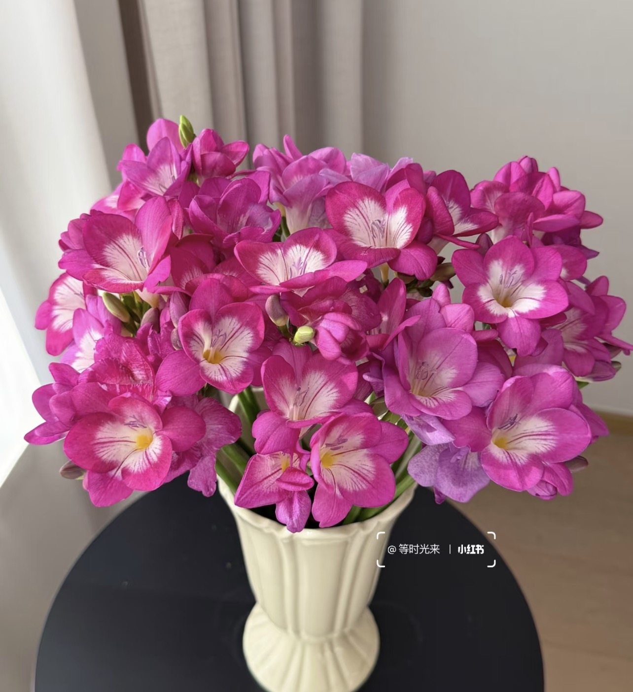 花棉袄小苍兰.海滨粉2扎20枝不包邮,鲜花速递/花卉仿真/绿植园艺,婚车鲜花,淘宝优惠券,粉丝福利购,淘宝优惠卷