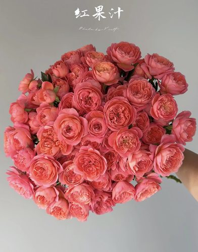 10枝A级红果汁（多头.幺妹）不包邮