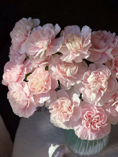 哥康.羽衣20枝不包邮