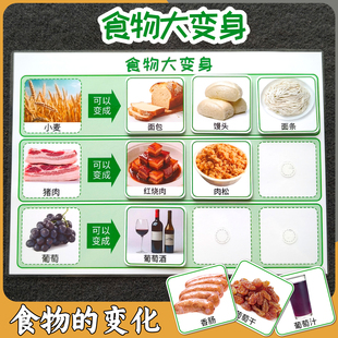 食物变化卡片思维益智儿童认知配对教具幼儿园宝宝区域材料早教卡