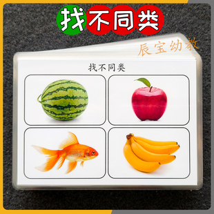 找不同类别卡片儿童思维益智训练教具发育迟缓干预康复ABA教学卡