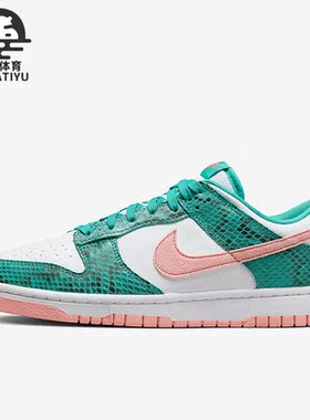 Nike/耐克正品新款Dunk Low男女复古休闲耐磨运动板鞋DR8577-300