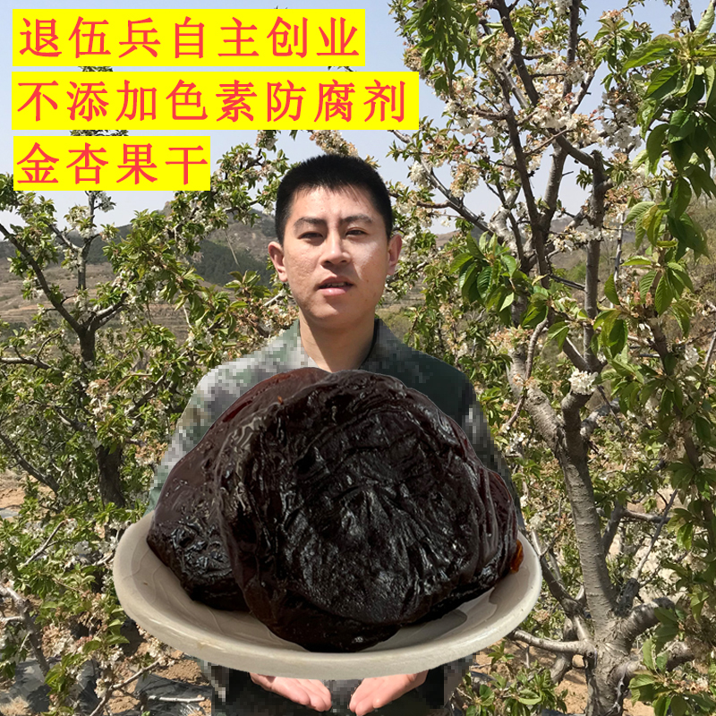 无核不添加儿童酸甜小零食金杏