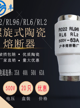 原厂沪丰保险R022 RO22 RL6 RL2 RL96 熔断器熔芯35A 40A 50A 63A