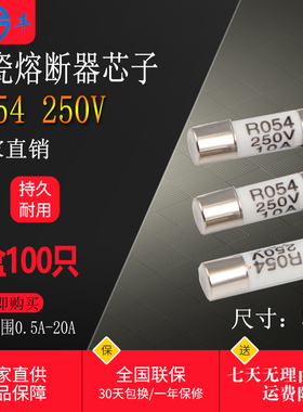 R054熔断器RO54保险丝管熔体1A 2A 3A 4A 6A 10A 15A16A 20A 5X20