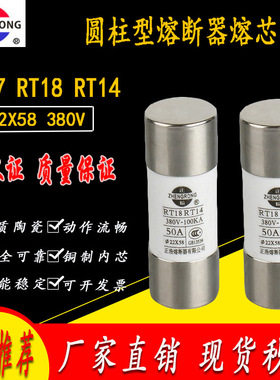 正浩 RT18熔断器RT14 22*58 50A63A80A100A125A 保险管 R017 RO17