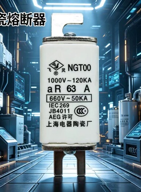 飞灵 陶瓷熔断器NGTOO熔芯NGT00保险丝管25A 32A 40A 50A 63A 80A