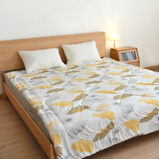 出口剩余 仅一批 180*220大尺寸夏凉被子 双人空调被可水洗 夏款