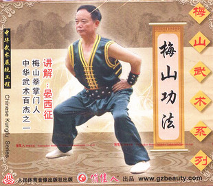 1VCD 梅山武术系列：梅山功法 晏西征 武术教学系列 俏佳人正版