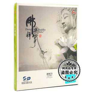 1CD 古筝演绎发烧梵音禅乐心经 怡人唱片 银版 浅镀光盘 禅筝 正版