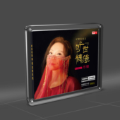 天艺唱片彤娜 母盘1：1直刻高品质无损音质HIFI发烧CD碟 旷世情缘