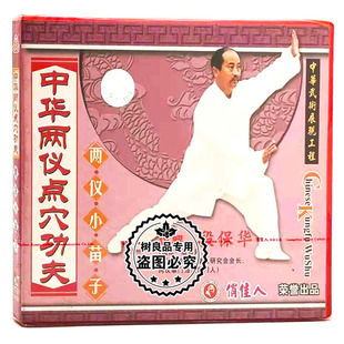 1VCD 正版 两仪小苗子 中华两仪点穴功夫系列 段保华 武术教学