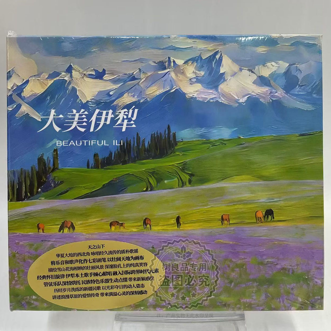 正版瑞鸣唱片音乐专辑 大美伊犁 高品质器乐发烧碟思恋草原之夜