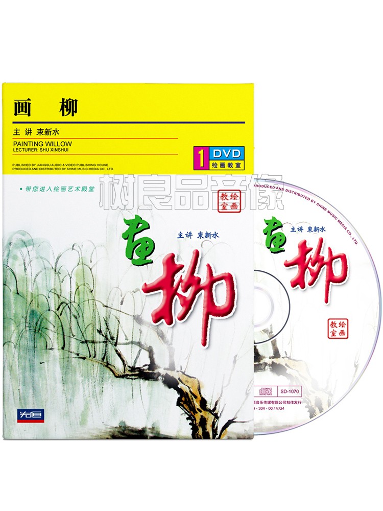 正版画柳国画山水画教程绘画临摹入门自学视频教学光盘束新水1DVD
