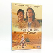 爱情家庭电影DVD碟片 盒装 恋恋情深 天空 又名：不一样 正版