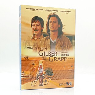 爱情家庭电影DVD碟片 盒装 恋恋情深 天空 又名：不一样 正版