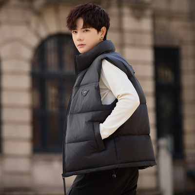 高级感立领羽绒马甲男士2025新款秋冬季背心外穿轻薄马夹男款坎肩