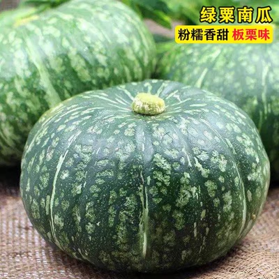 甜栗贝贝南瓜种子高产易种