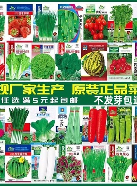 蔬菜种子四季播春季易种盆栽庭院阳台简单春番茄甜瓜黄瓜籽孑大全