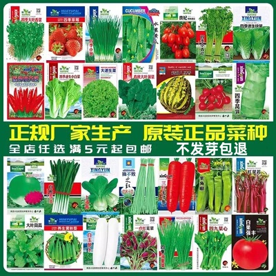 四季播蔬菜种子盆栽阳台庭院种植