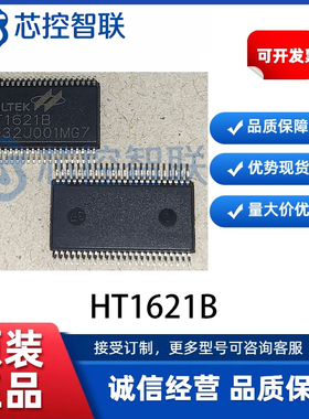 HT1621B 原装正品 SSOP-48 RAM映射32*4 LCD控制器芯片I/O MCU