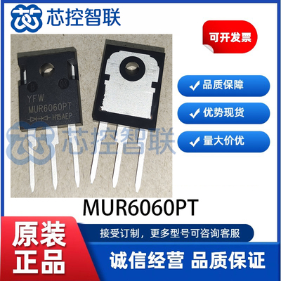 YFW(佑风微)MUR6060PT