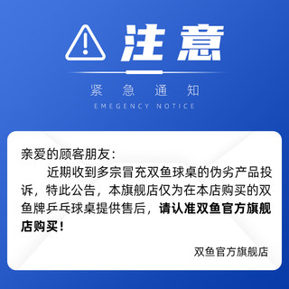 双鱼乒乓球台家用室内标准案子兵乓球桌可折叠移动彩虹拱脚5018R