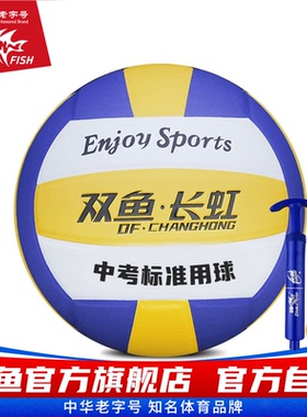双鱼长虹VH512P排球5号排球比赛训练中考学生用球充气男女VH511P