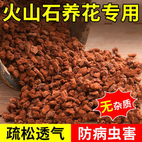 颗粒红底砂天然多肉兰花养花