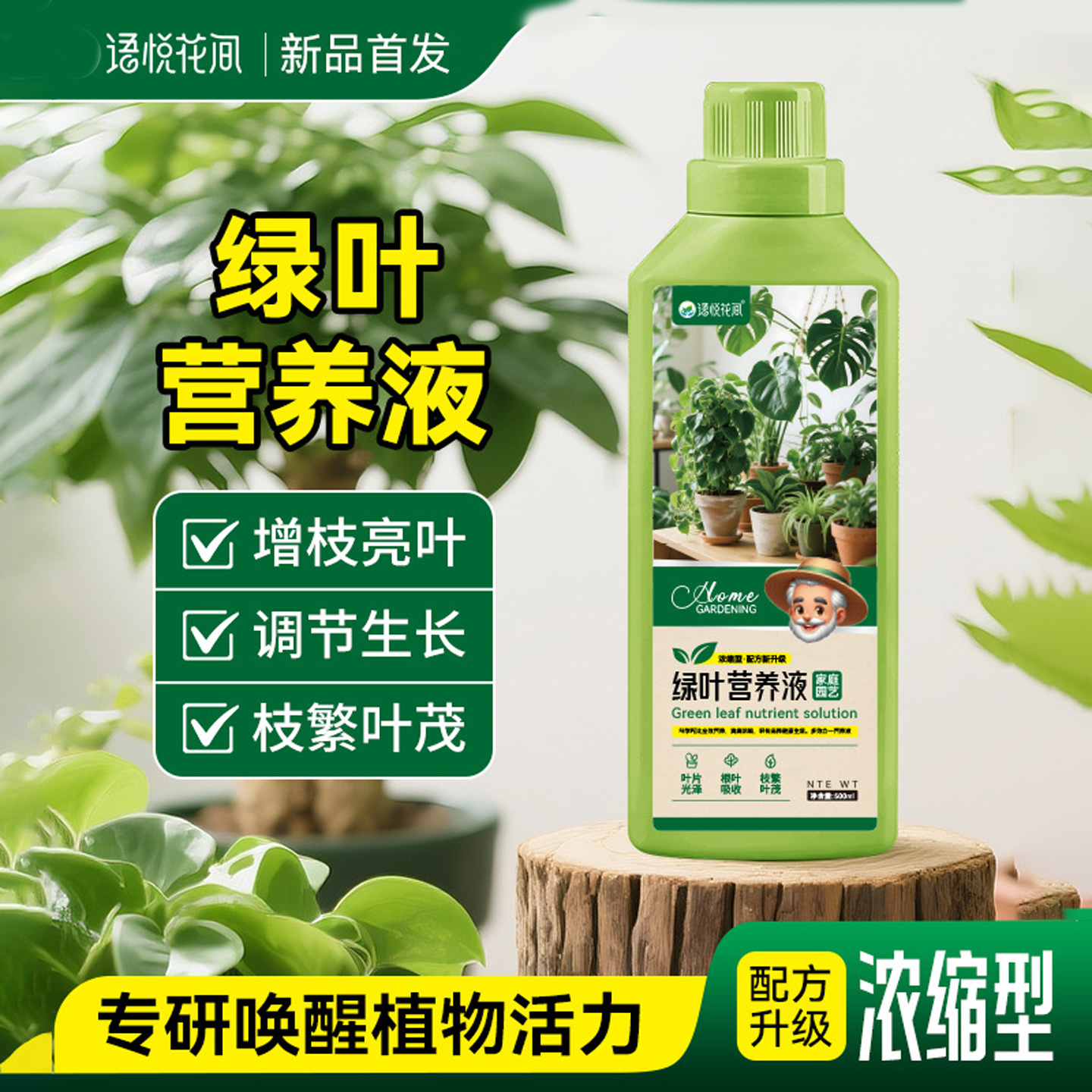 植物绿叶营养液盆栽花卉幸福树发财树龙血树绿萝通用液体肥料家用