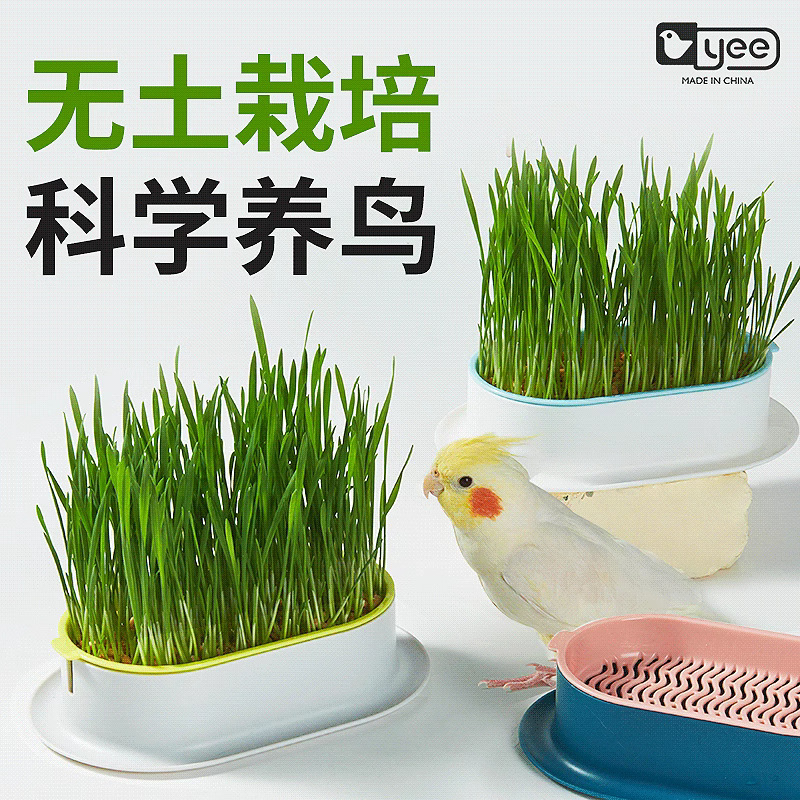 鹦鹉鸟草粮种子发芽鸟食鸟草盒子