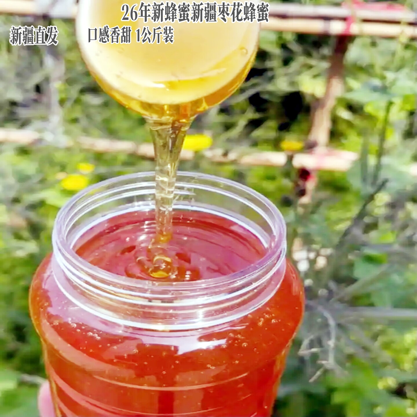 26年新货农家自产红枣花蜂蜜做柚子茶pk洋槐蜜百花蜜泡茶1Kg包邮