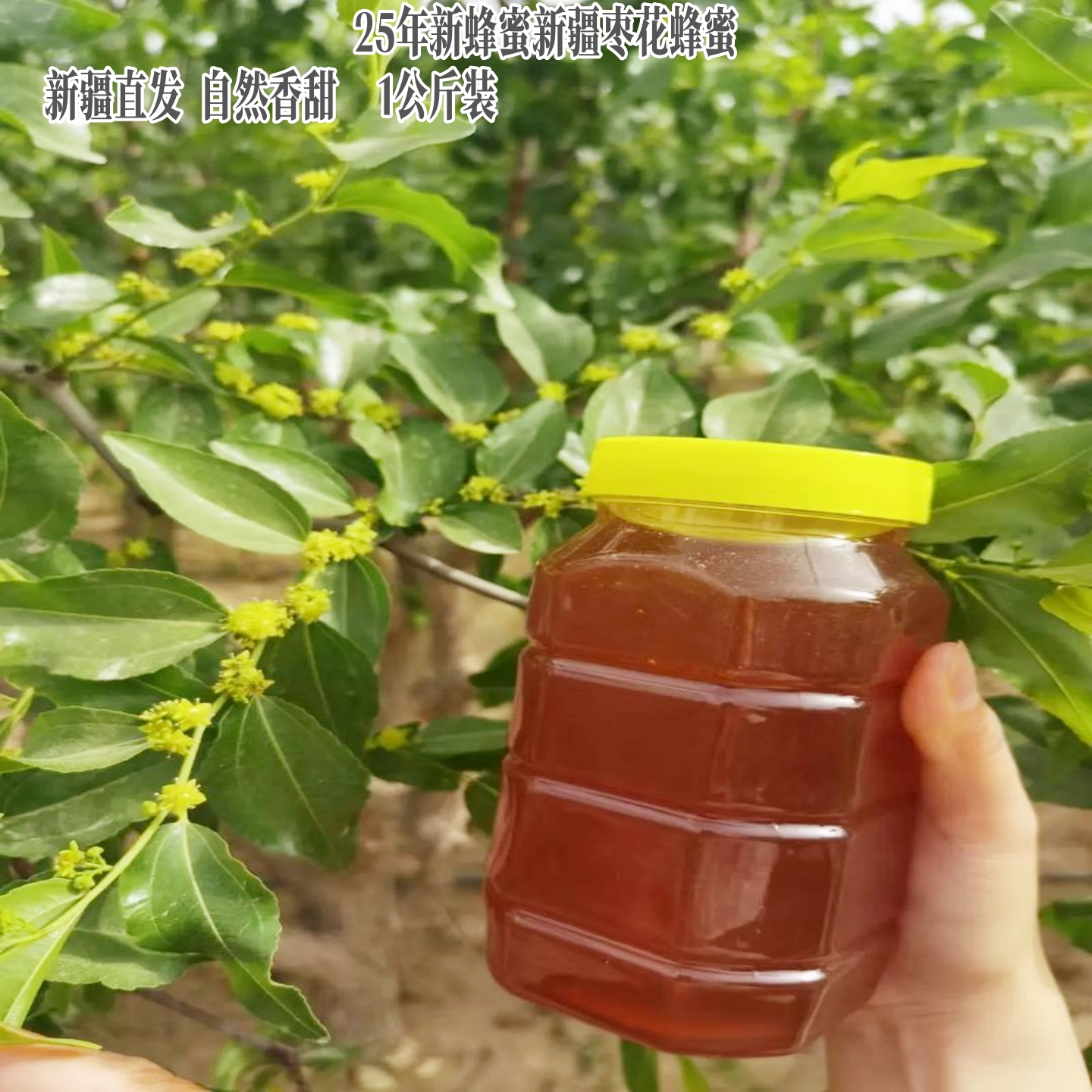25年新货农家自产红枣花蜂蜜做柚子茶pk洋槐蜜百花蜜泡茶1Kg包邮