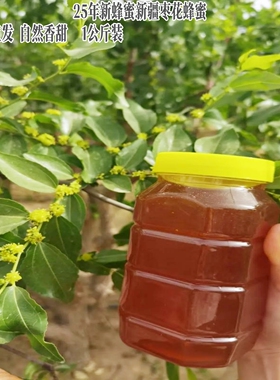 25年新货农家自产红枣花蜂蜜做柚子茶pk洋槐蜜百花蜜泡茶1Kg包邮
