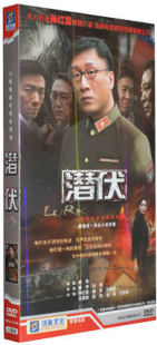 经济版 沈傲君 正版 潜伏DVD 孙红雷 姚晨 6DVD 电视剧碟片 盒装