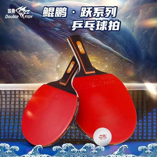 双鱼鲲鹏橙5星乒乓球拍